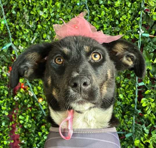 Photo of Winnie