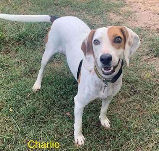 Photo of Charlie