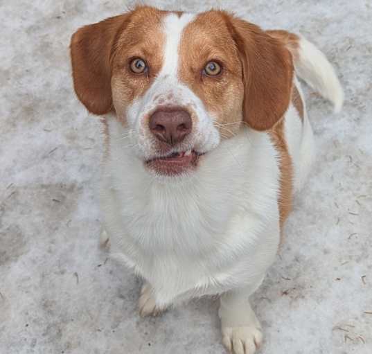 Photo of Cosmo