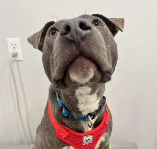 Photo of Roxy