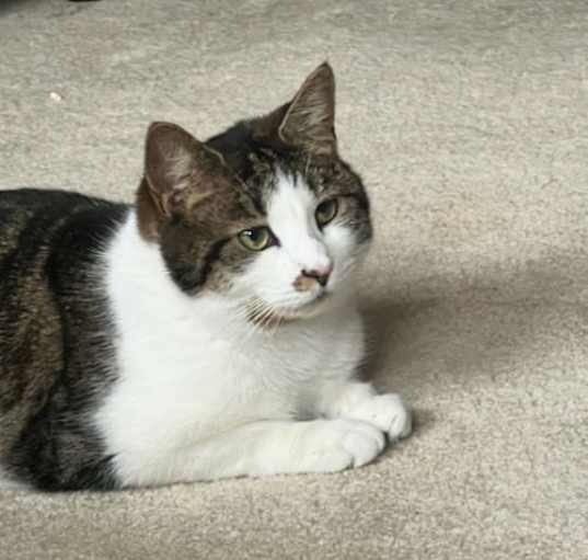 Photo of Elphaba