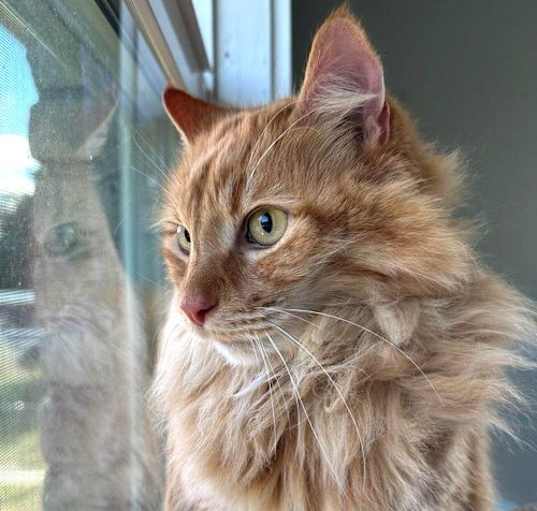 Photo of Tony