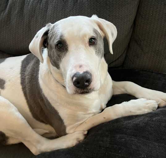 Photo of Ted
