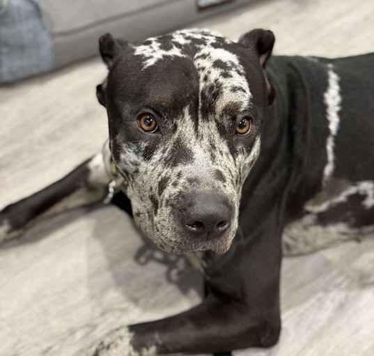 Photo of Storm