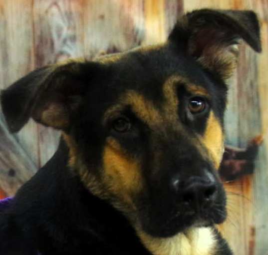 Photo of Thor