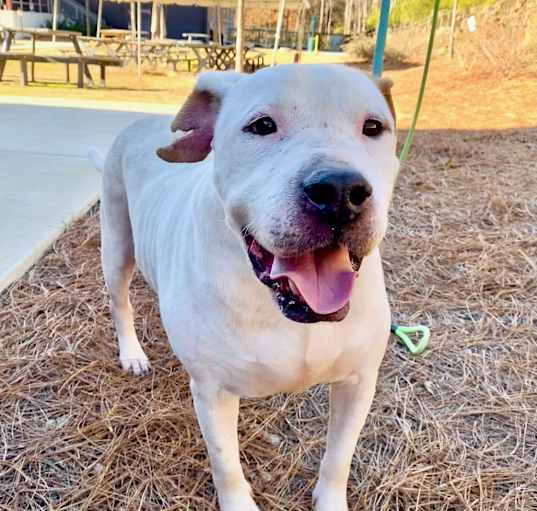 Photo of Petey Bailey