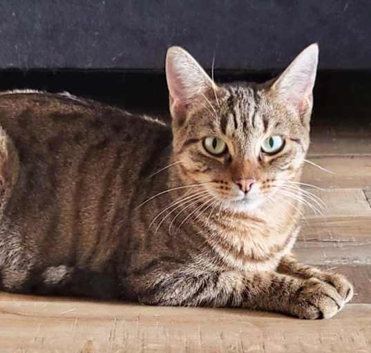 Photo of CELIA