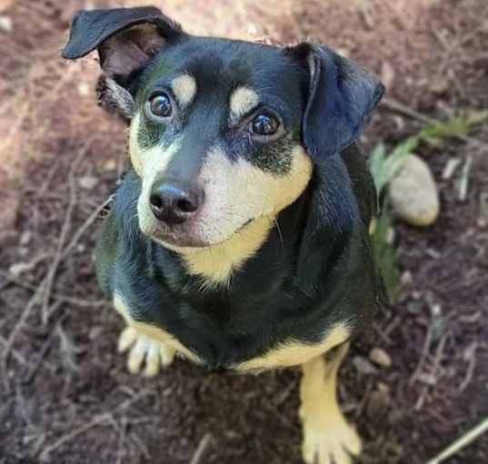 Photo of CHUCHO