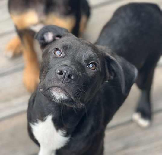 Photo of Baja