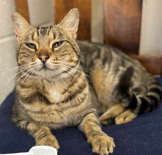 Photo of Charlie