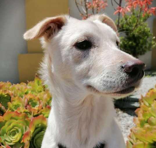 Photo of Angela
