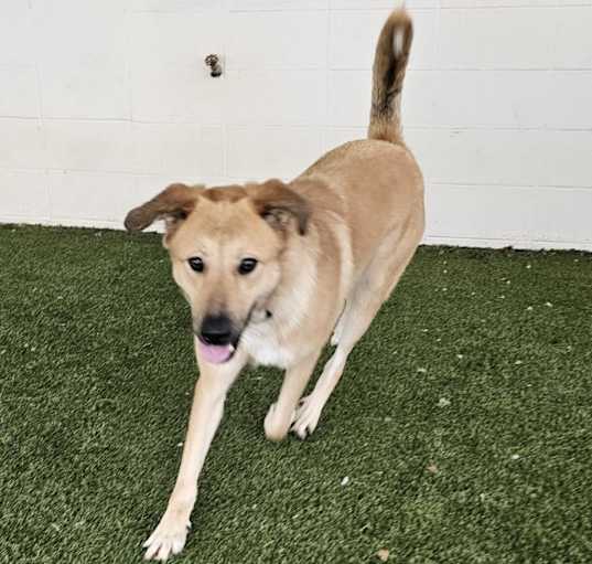Photo of Morgan 0538