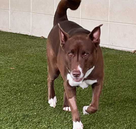 Photo of Roo 7030