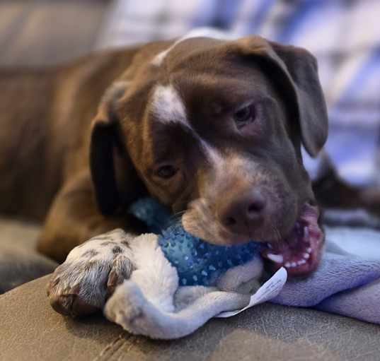 Photo of Linus