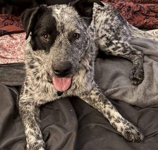 Photo of Jack