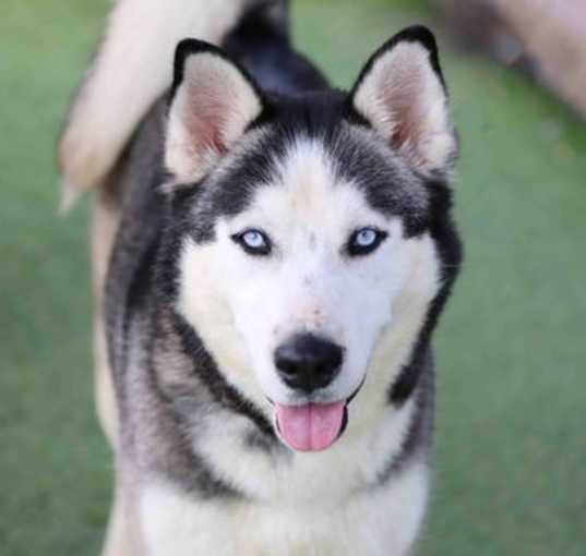 Photo of Freya