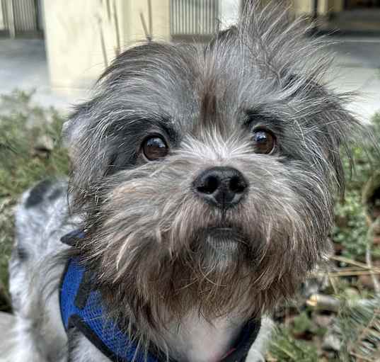 Photo of Nicholas