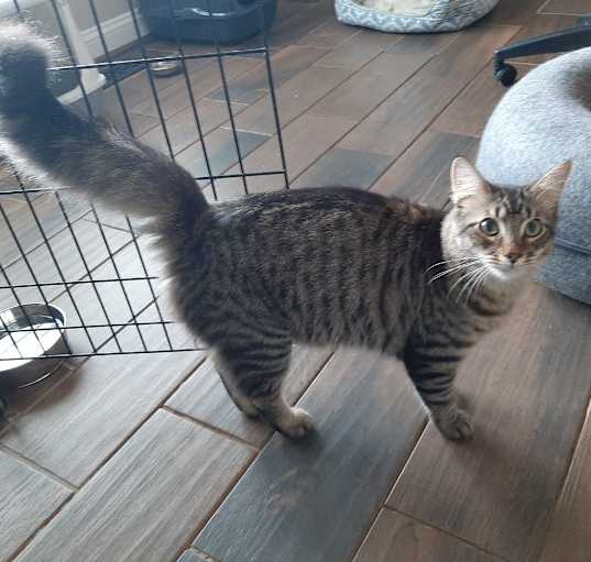 Photo of Sweet Jasper