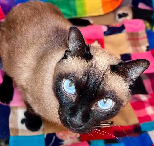 Photo of Fendi