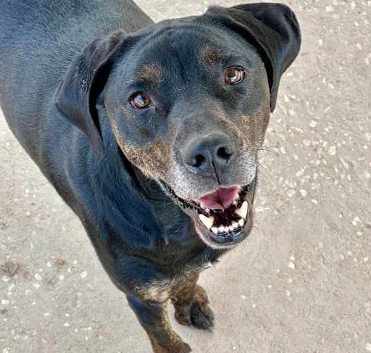 Photo of Deuce