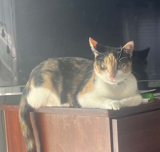 Photo of Cassie