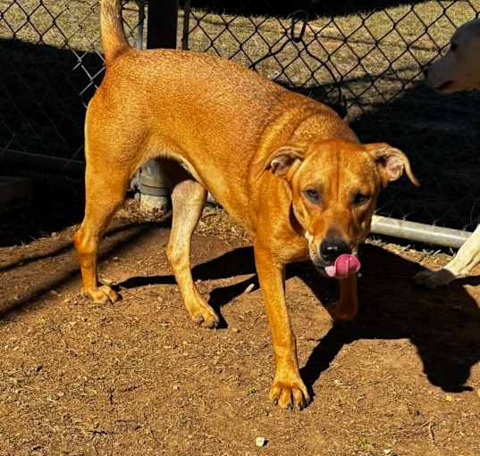 Photo of Wiggles 0445