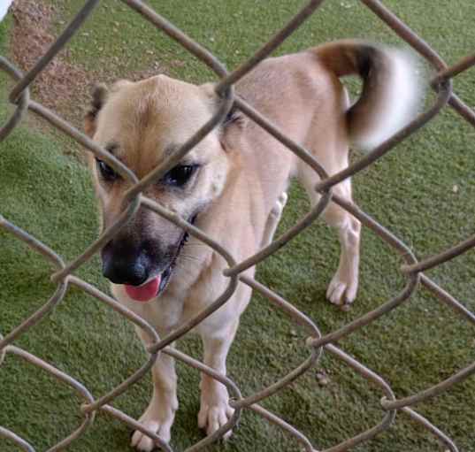 Photo of Ekon