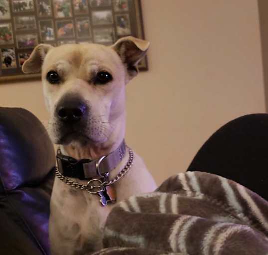 Photo of Colby