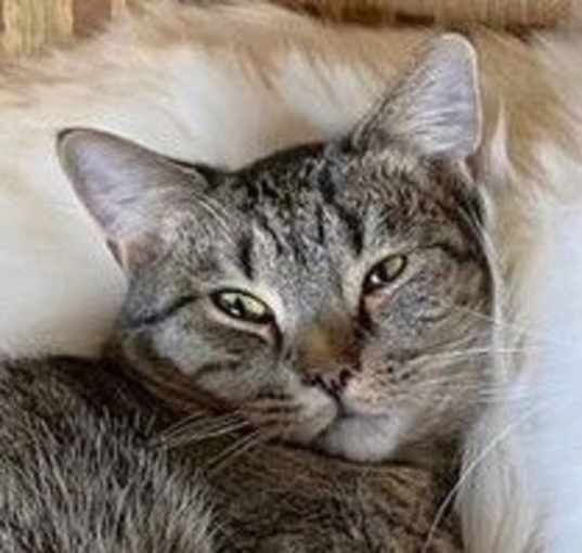 Photo of Agnes