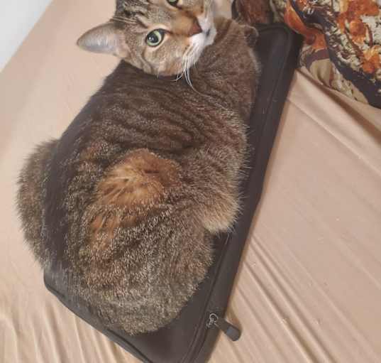 Photo of Leo