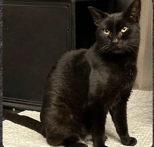 Photo of Cinders