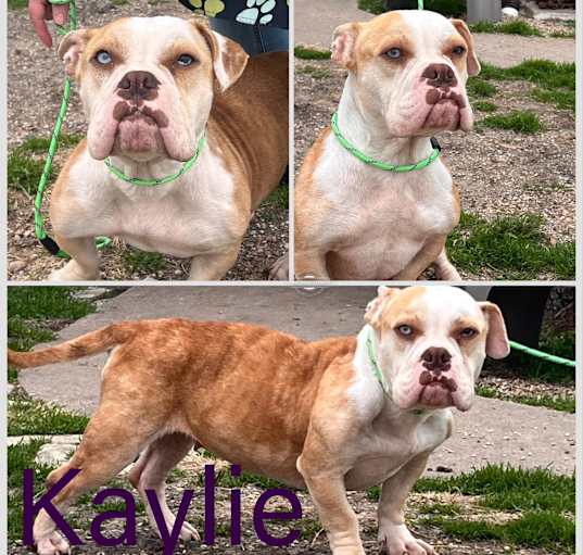 Photo of Kaylie