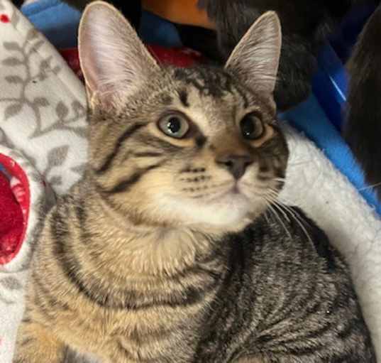 Photo of JASPER