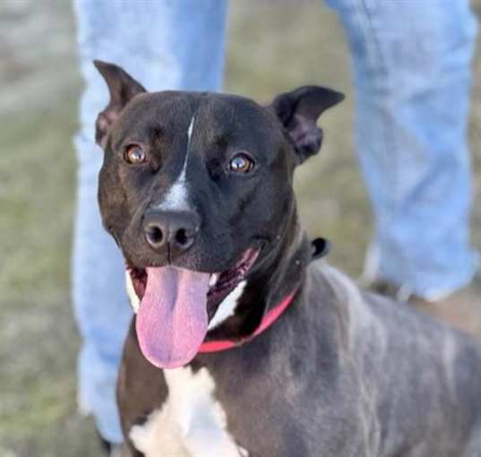 Photo of Wilma A426165