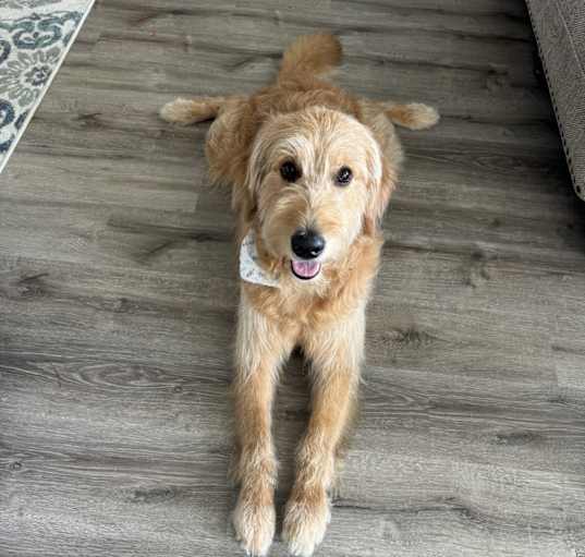 Photo of Sammy