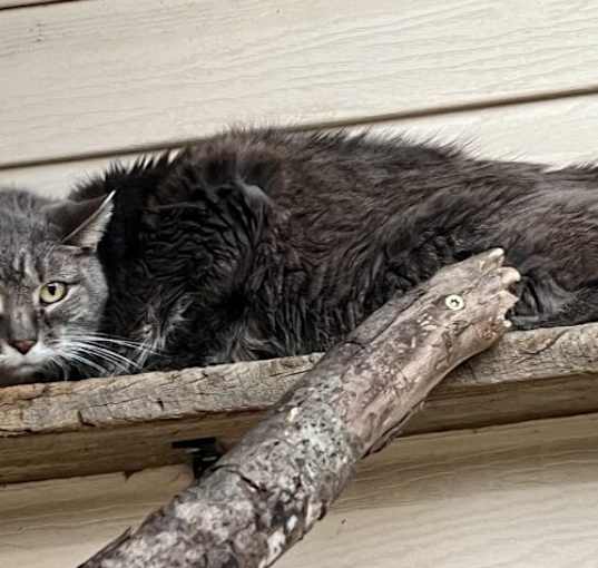 Photo of ethel