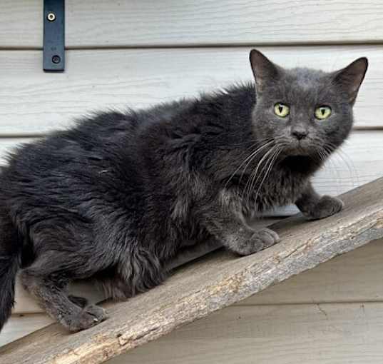Photo of edna