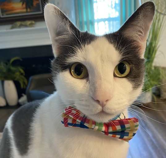 Photo of Jasper