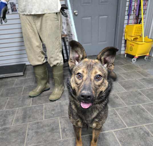 Photo of Tessie