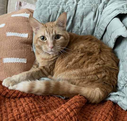 Photo of Penny