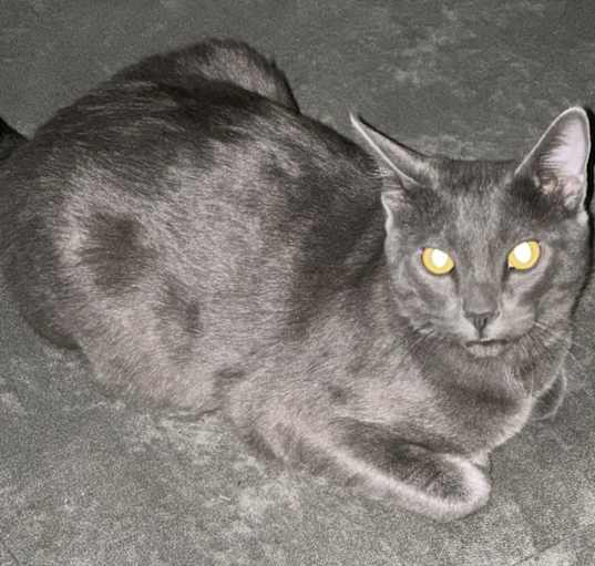 Photo of Bubbles