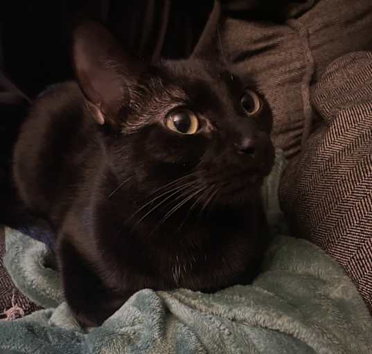 Photo of Tua