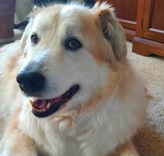 Photo of Zoe