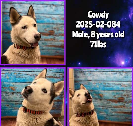 Photo of 2025-02-084 *Cowdy*