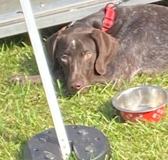 Photo of Otto
