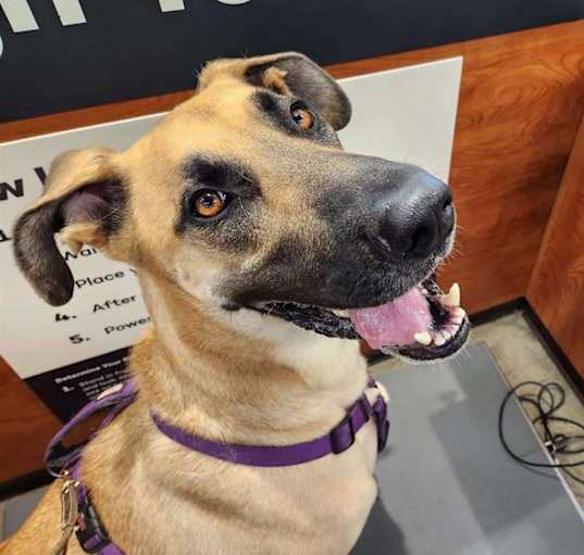 Photo of DUKE