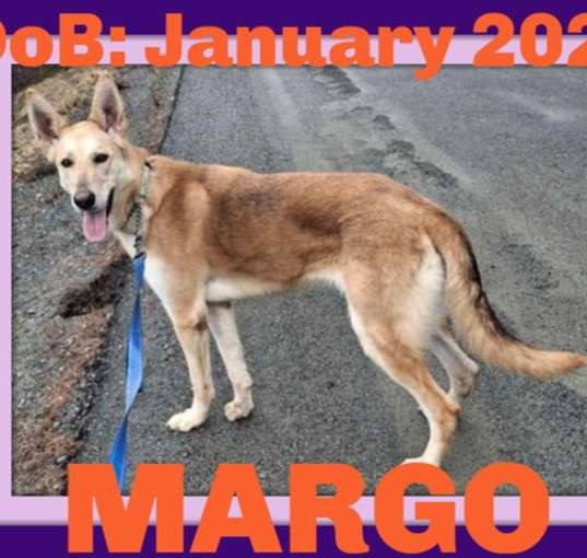Photo of MARGO
