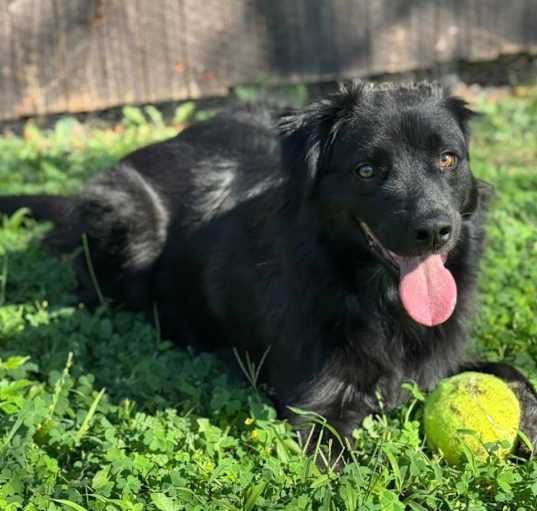Photo of Benny