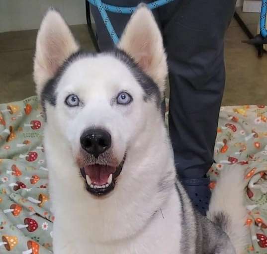 Photo of Sasha