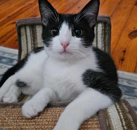 Photo of Turbo